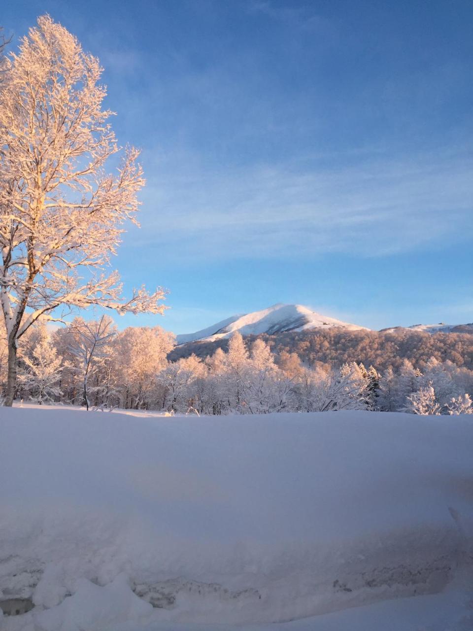Niseko Guesthouse Nalu. Εξωτερικό φωτογραφία